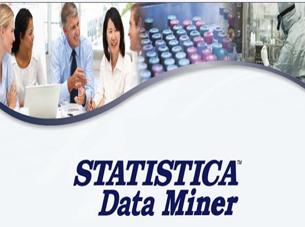 Stastistica Interface